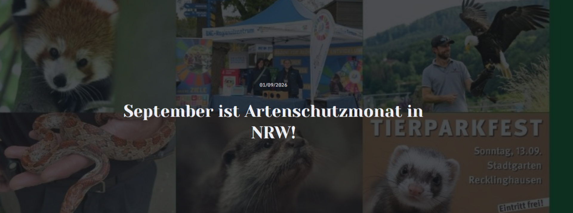 September ist Artenschutzmonat 